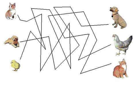 Image result for Visual Eye Tracking Exercises