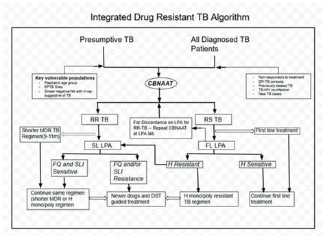 TropicalMed | Special Issue : Innovation and Evidence for Achieving TB ...
