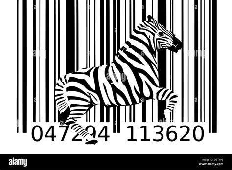 Image result for Zebra Code Programing