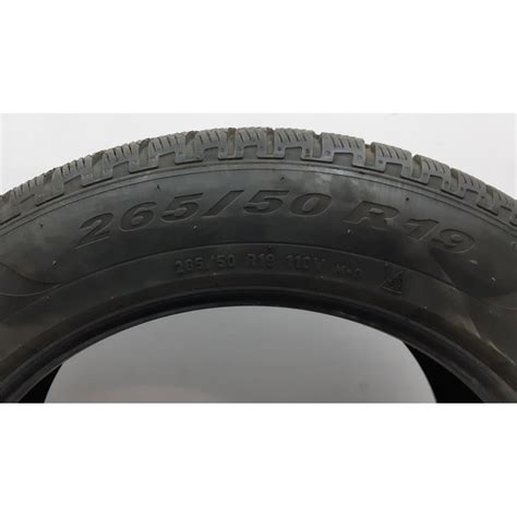 1066117 00 Bus 265 50R19 110 WINTER PIRELLI SCORPION Tesla Modell ...