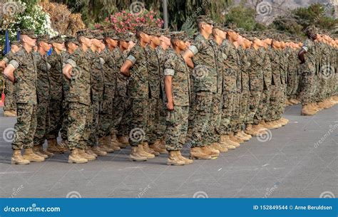 Marine Standing At Attention