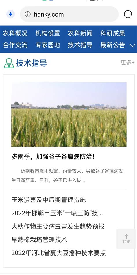 我院网站荣获邯郸市“网络文明网站” - 农科新闻 - 邯郸市农业科学院