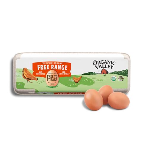 Amazon.com: Organic Valley, Organic Free-Range Extra Large Brown Eggs ...