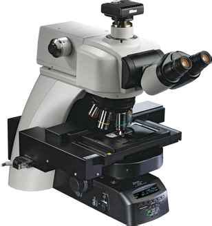 Image result for Nikon Microscope