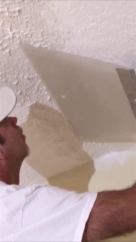 Textured Ceiling Removal 的图像结果