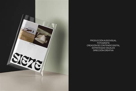 Image result for Visual Seven