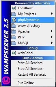 Image result for Wamp MySQL Password