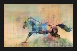 Vastu Horse Nature Poster with A4 Size Frame F-139 Paper Print - Nature ...