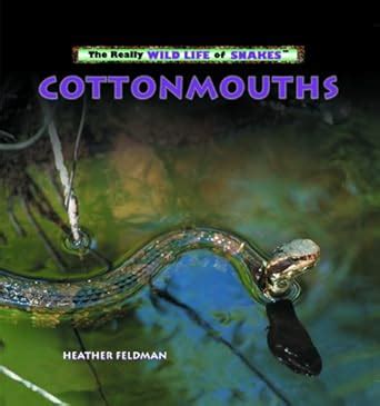Buy Cottonmouths (The Really Wild Life of Snakes) Book Online at Low ...