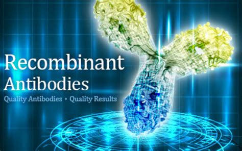 GeneTex Antibodies by UNIVERSAL BIOTECHNOLOGY (P) LTD