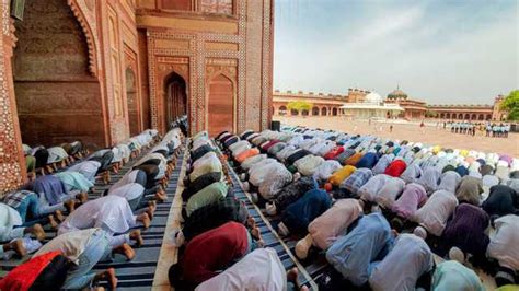 Resign or transfer: HC tears into UP govt on limiting Sambhal mosque namaz