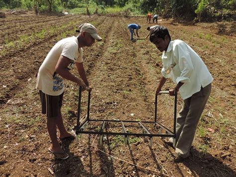 Saguna Rural Foundation :: Saguna Rural Foundation