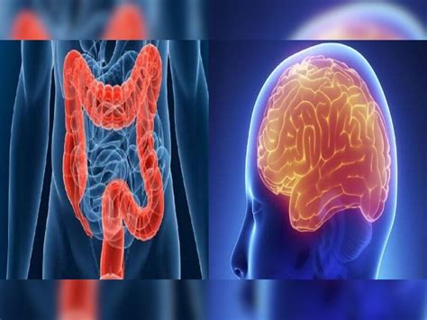 Broccoli Sprouts is beneficial for your body read health tips vchr ...