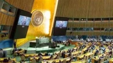 UN adopts resolution for peace in Ukraine; India, China abstain from ...