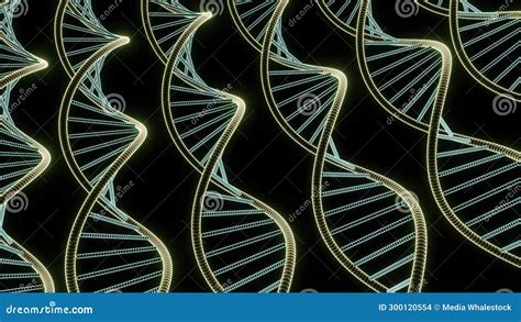 Image result for DNA Basics Explained