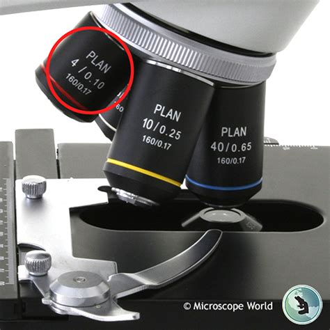 Image result for Microscope Magnification