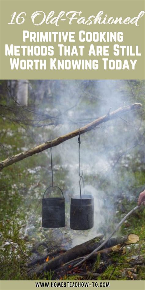Image result for Primitive Cooking Skills