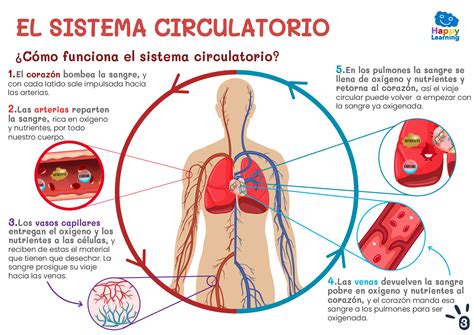 Learning Method 的图像结果