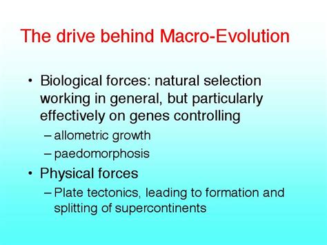 Image result for How Tmacroevolution