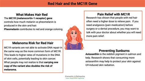 Recessive Genes Hair Color