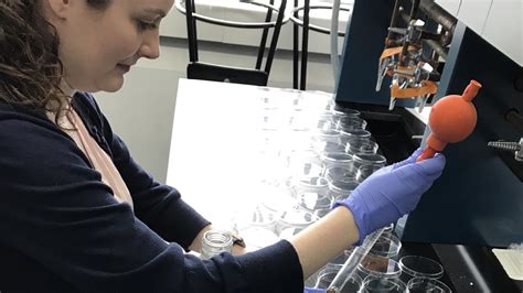 Ph.D. Student Awarded National Science Foundation Fellowship | NYU Tandon School of Engineering