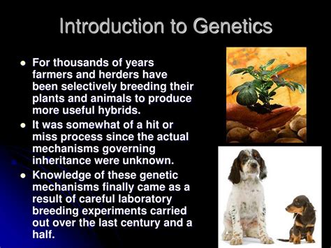 Genetics Introduction 的图像结果