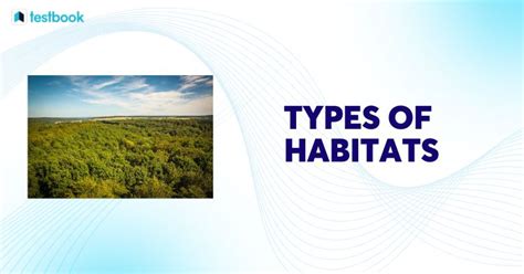 Image result for Habitat Example