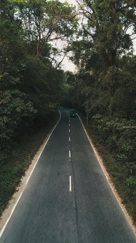 Royalty Free Stock Footage 的图像结果