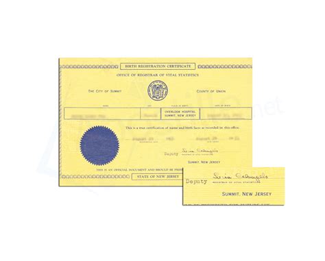 New Brunswick Nj Birth Certificate at Samuel Kenneth blog