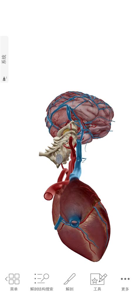 系统解剖学 第八版（高清pdf） 本科院校教科书下载,医学电子书