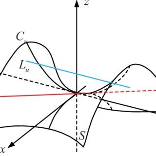 Local Optimization 的图像结果