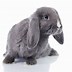 Image result for 2 Week Old Baby Rabbits