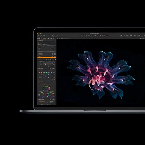 Image result for Capture One Express Tutorial