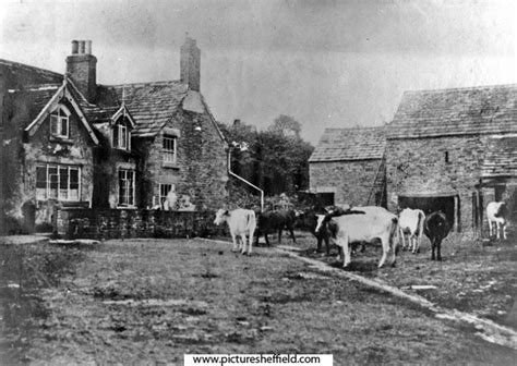 Searching Picture Sheffield