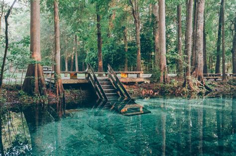 Image result for Little Devil Spring