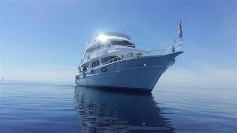 Image result for 02. VIP