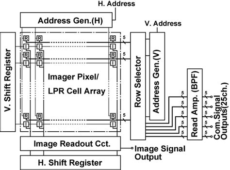 Image result for ISC Cell