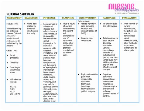 Nursing Care Plan For In 2020 Nursing Care Plan Nursing