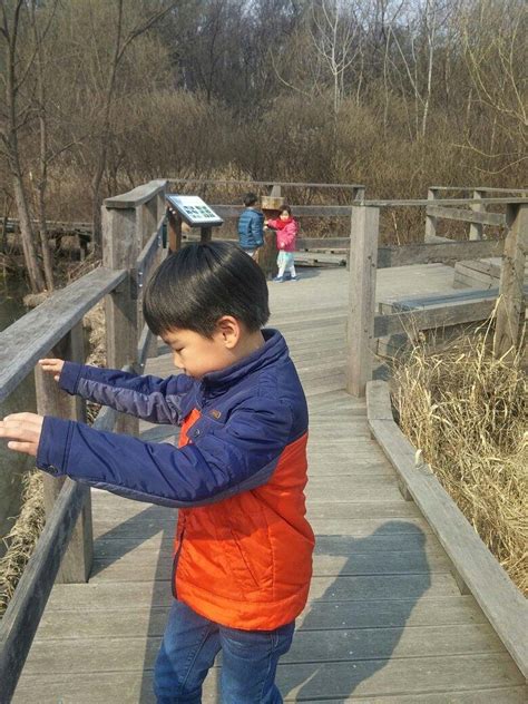 GILDONG ECOLOGICAL PARK - All You Need to Know BEFORE You Go 2026 (with ...
