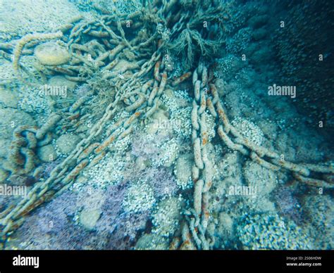 Old rusty anchor chain on seabed, underwater photography, ocean floor, marine life, shipwreck ...