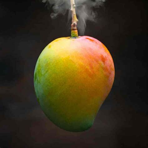Does mango cause gas in babies – AlphonsoMango.in