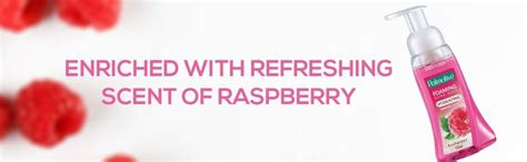 Palmolive Hydrating Foaming Raspberry Liquid Hand Wash, 250ml Dispenser ...