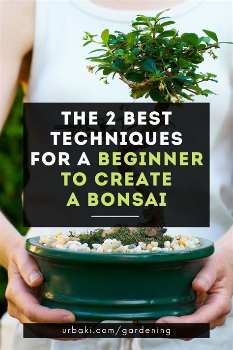 Image result for Bonsai Making Tutorial