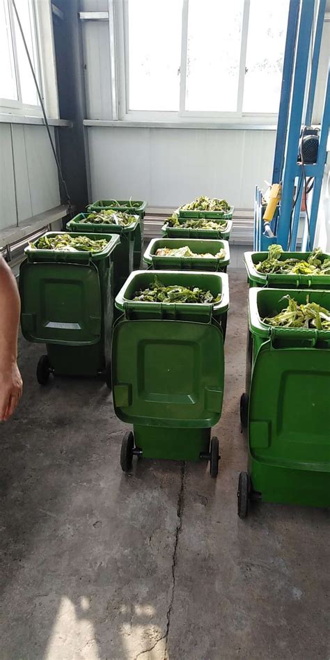 用科技手段变废为宝 让果蔬垃圾减量“瘦身”-三盛新闻-深圳市三盛环保科技有限公司