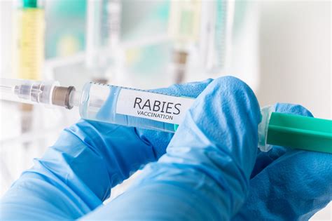 Treatment For Rabies
