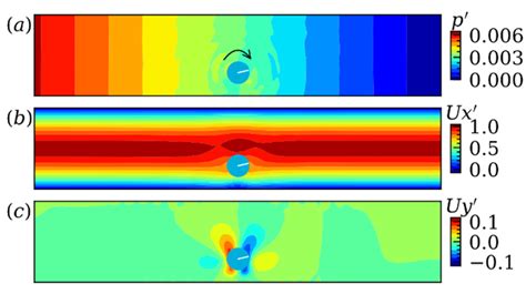 Neutrally Buoyant Particle Migration in Poiseuille Flow Driven by ...