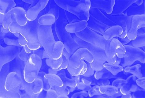 Image result for Light Blue Screen