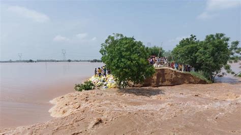 Punjab floods: Two breaches in Mansa district, Ghaggar inundates ...