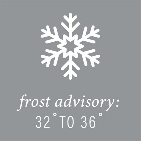 Frost vs. Freeze vs. Ground Freeze - Flowerland