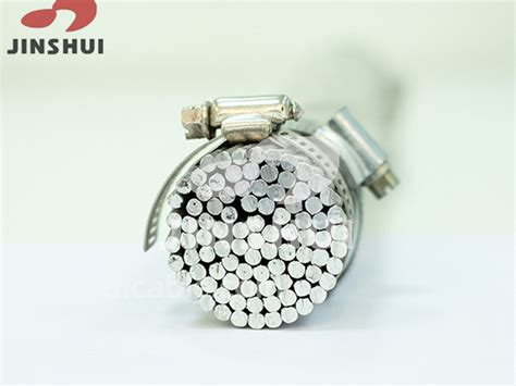 Conductor 的图像结果